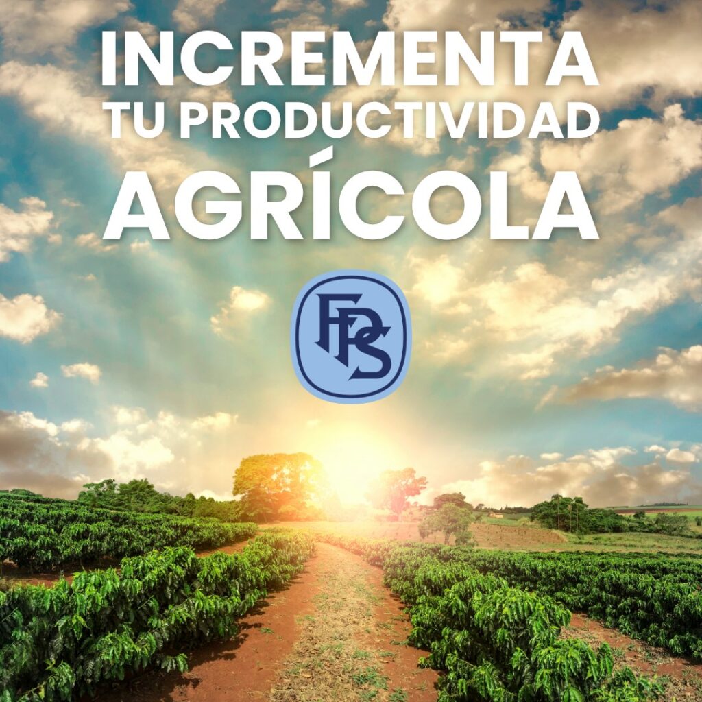 LA PRODUCTIVIDAD DEL CAMPO