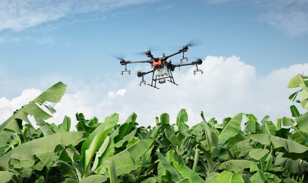 USAR DRONES EN LA AGRICULTURA