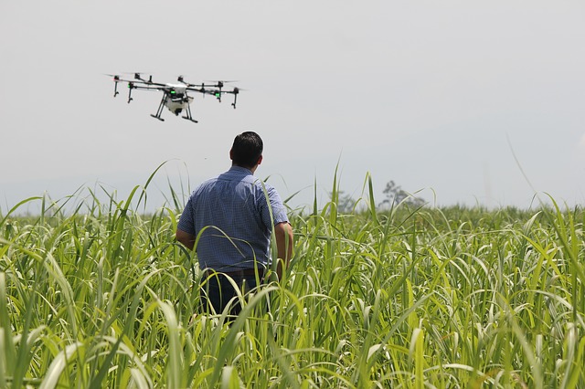 USAR DRONES EN LA AGRICULTURA