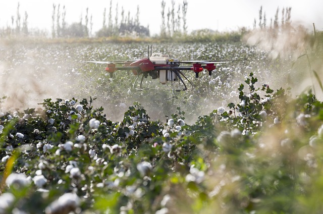 LA PRODUCTIVIDAD EN EL CAMPO