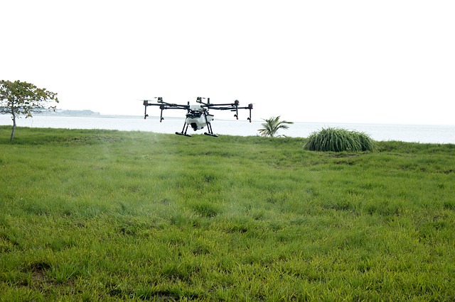 RENDIMIENTO AGRÍCOLA