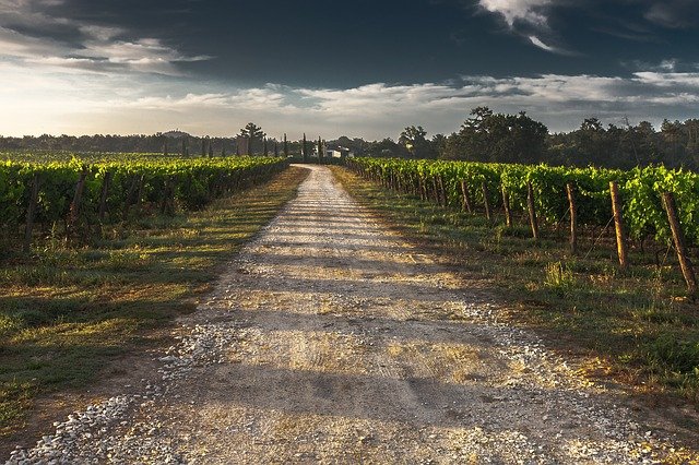 AYUDA PARA EL TRABAJO DE CAMPO