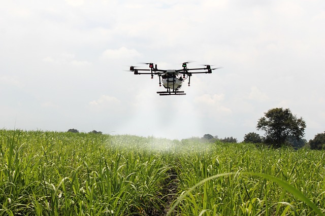 DRONES EN LOS CAÑAVERALES