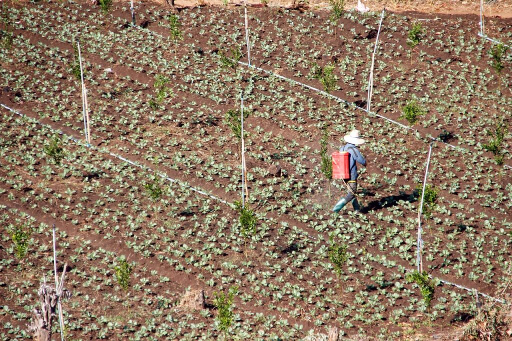 APLICACIÓN MANUAL DE AGROQUÍMICOS