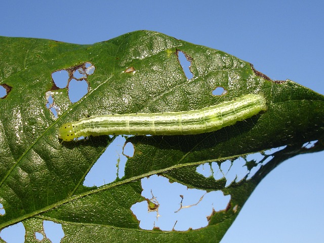 AGROQUÍMICOS