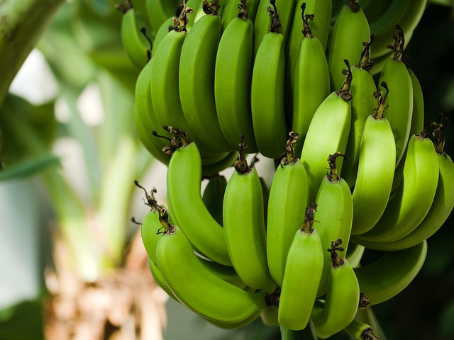 PRODUCTOS AGRÍCOLAS