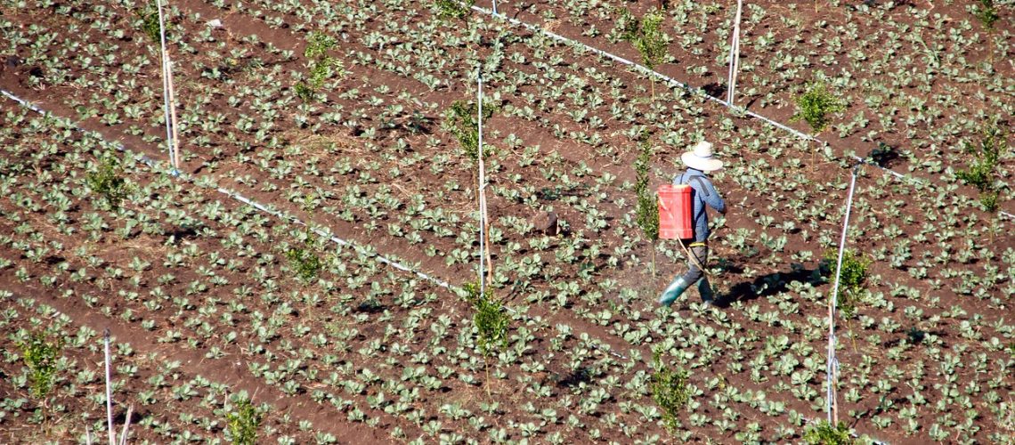 APLICACIÓN MANUAL DE AGROQUÍMICOS